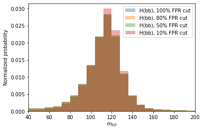 Week 6 Notebook Evalulating Model Performance and Robustness